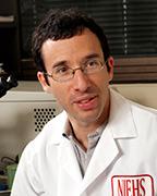 Michael B. Fessler, M.D.