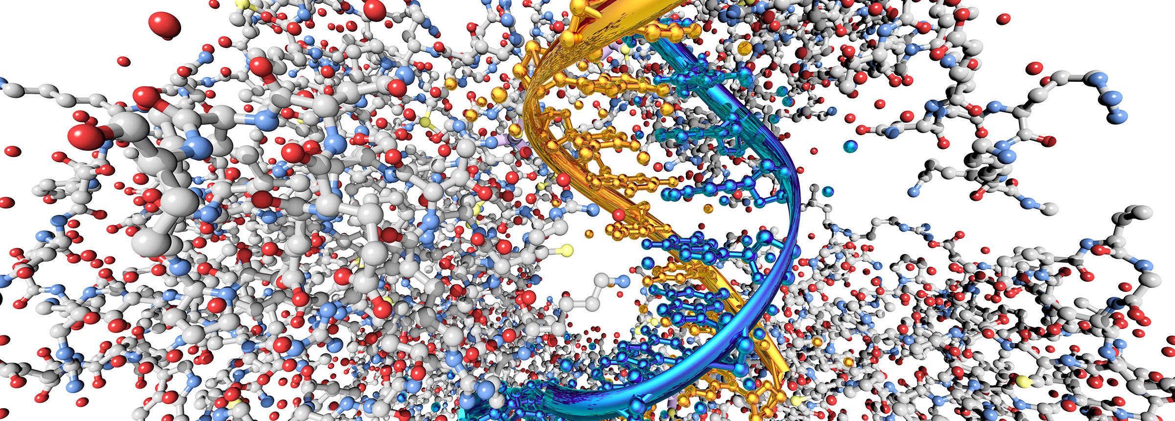 Inflammatory Response to DNA Damage Hero - Desktop Image